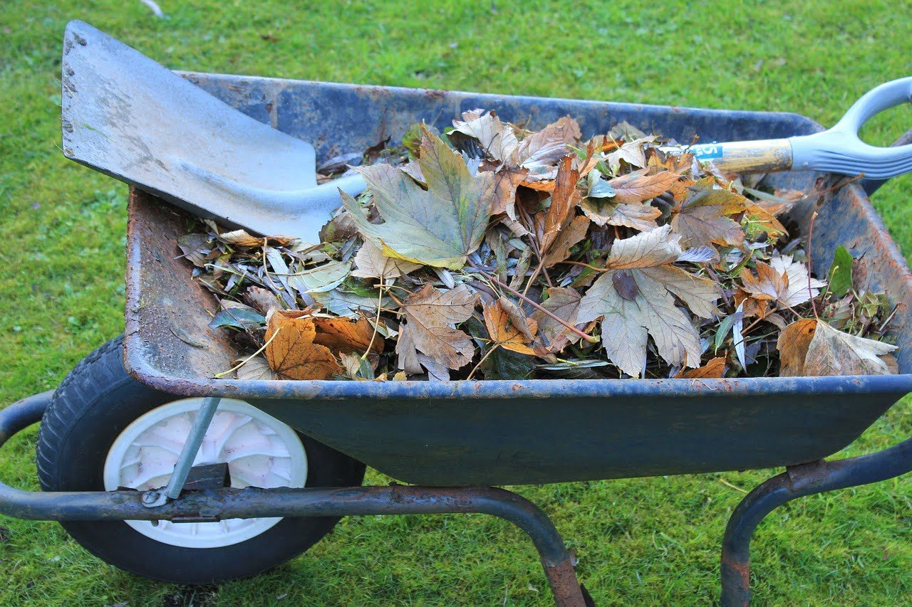 hd wallpaper, nature wallpaper, wheelbarrow-3794784.jpg