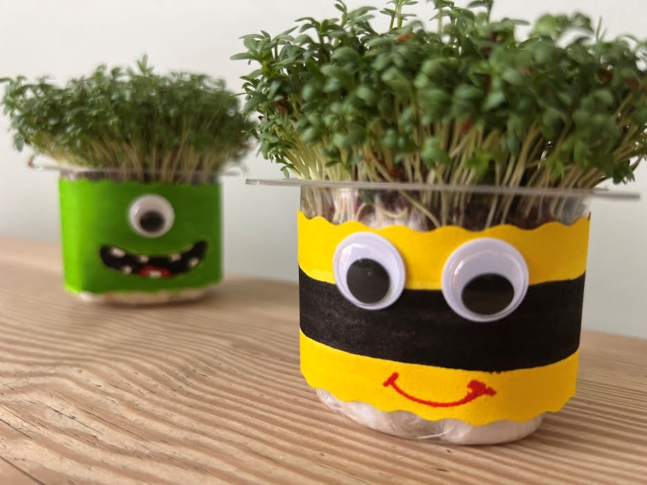 Growing Cress Heads - Messy Little Monster