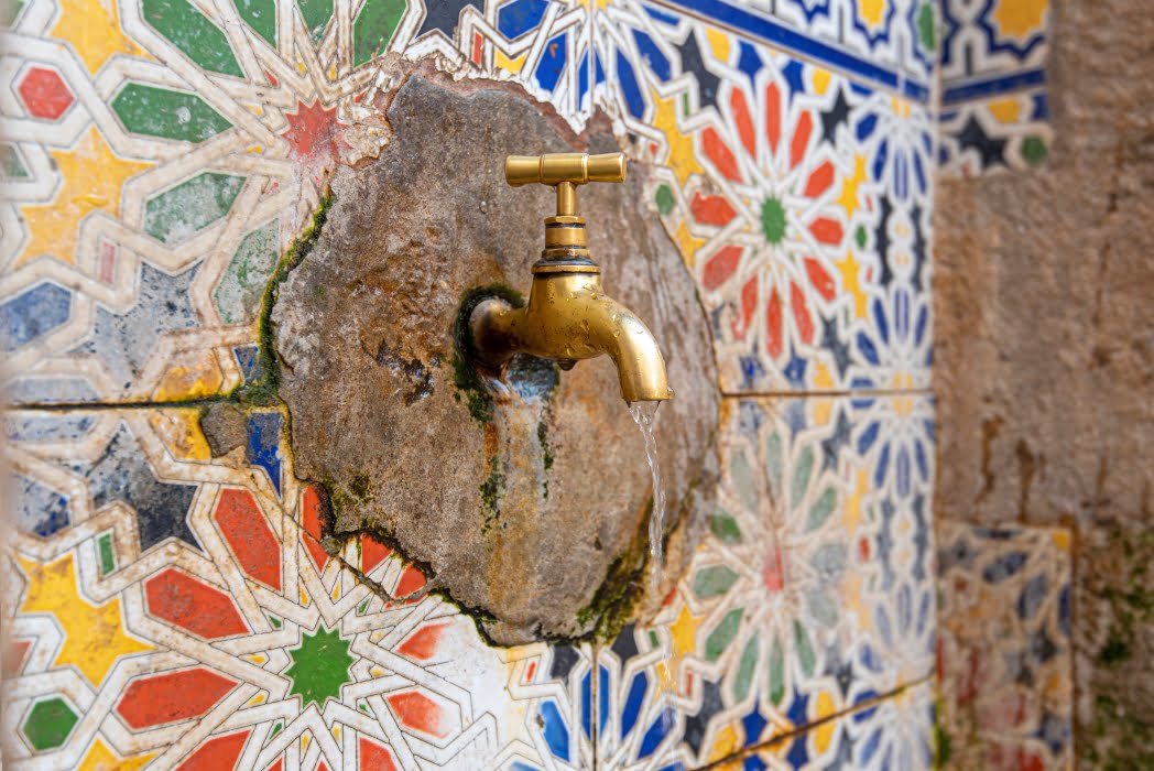 Moroccan-Style Garden patterned tiles