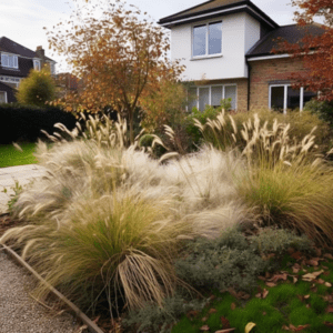 best ornamental grasses