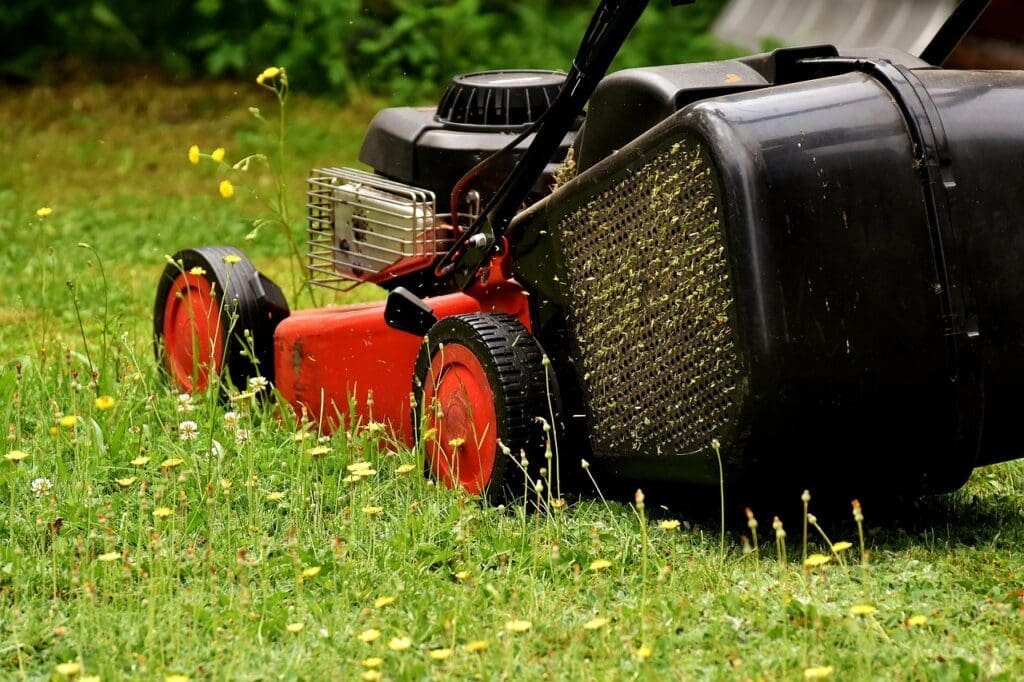 Different Mulch - Grass Clippings