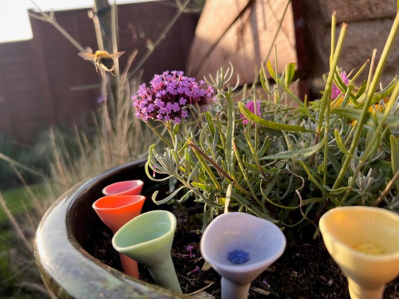 Bee Cups for Thirsty Pollinators