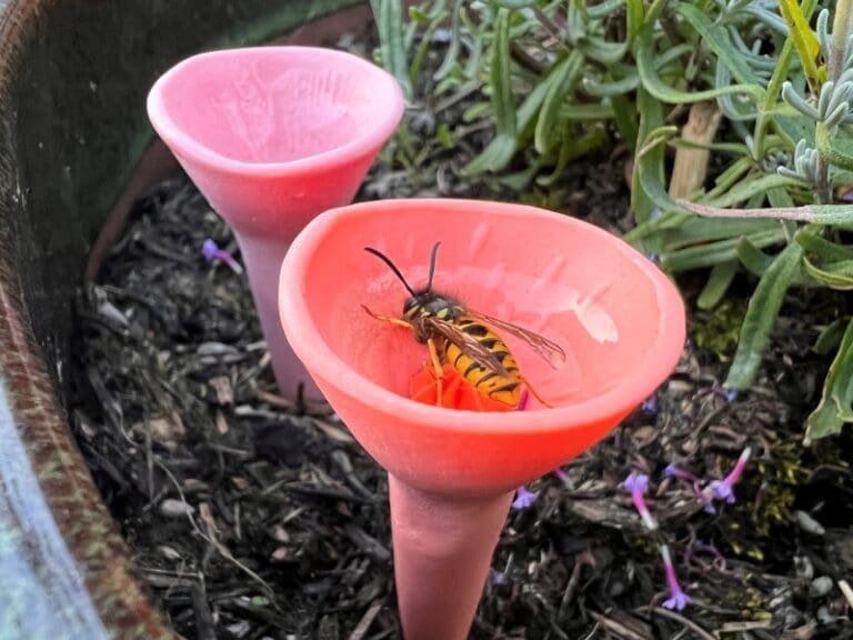 Bee Cups for Thirsty Pollinators